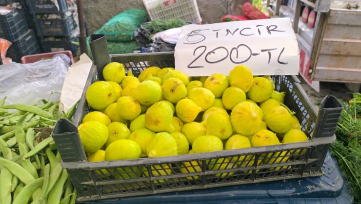 Pazara alışverişe gelen yurttaştan ‘incir’ isyanı: ‘Tanesi 12 liradan alamam, gücüm yetmez ki alayım’