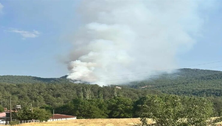 Peş peşe yangınlar: Çankırı ve Bolu alevlerle mücadele ediyor