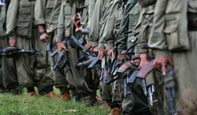 PKK silah bırakırken akademisyen Şahin’den ilginç saptama:  “2010’lu yıllardaki açılıma çok benziyor!”