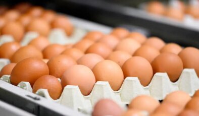 Resmi Gazete’de yayımlandı… Yumurta satışında yeni dönem!