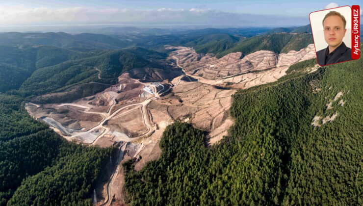 Resmi Gazete’de yayımlandı: Zeytinlikler, ormanlar, meralar madene ve enerjiye açıldı