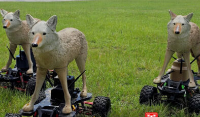 Robot çakallar, ABD askeri havaalanlarını korumaya başladı