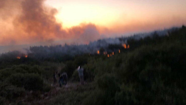 Rüzgarla yayılmıştı: Urla’daki orman yangını kontrol altına alındı
