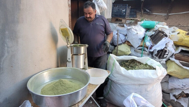 Sadece Erzincan’da bulunan Zetrin baharatının faydaları saymakla bitmiyor