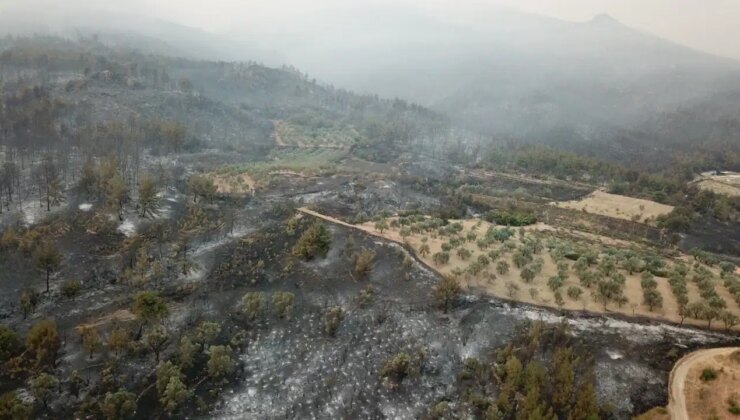 Sakarya’da orman yangını 2’nci gününde