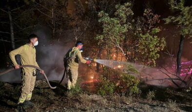 Sakarya’da orman yangını sürüyor: Müdahale yeniden başladı!