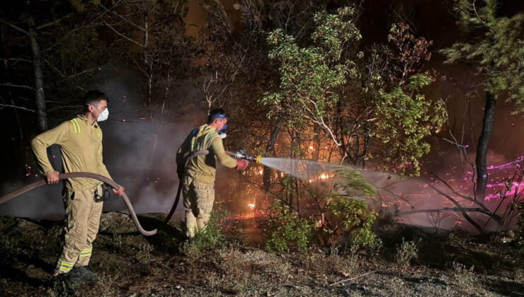 Sakarya’da orman yangını sürüyor: Müdahale yeniden başladı!