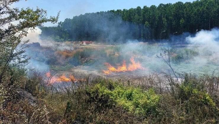 Sakarya’da ormanlık alanda çıkan yangın kontrol altına alındı