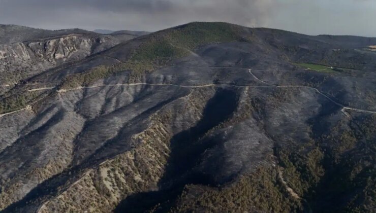 Sakarya’da yürek burkan manzara: Orman yangınının bıraktığı tahribat havadan görüntülendi