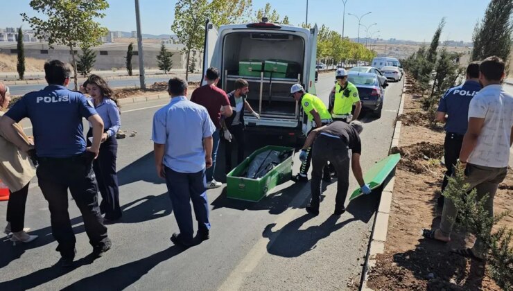 Şanlıurfa’da acı olay… Yolun karşısına geçmeye çalışırken otomobil çarpmasıyla öldü: Sürücü gözaltında!