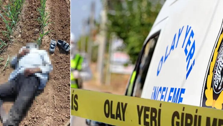 Şanlıurfa’da mısır tarlasında erkek cesedi bulundu