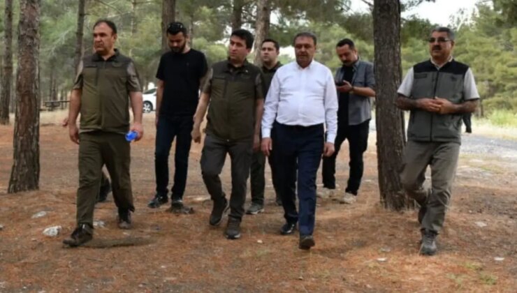 Şanlıurfa’da ormanlık alanlara girişler yasaklandı
