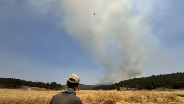 Sarıcaova’da hasada yangın engeli: İmece usulü toplandı…