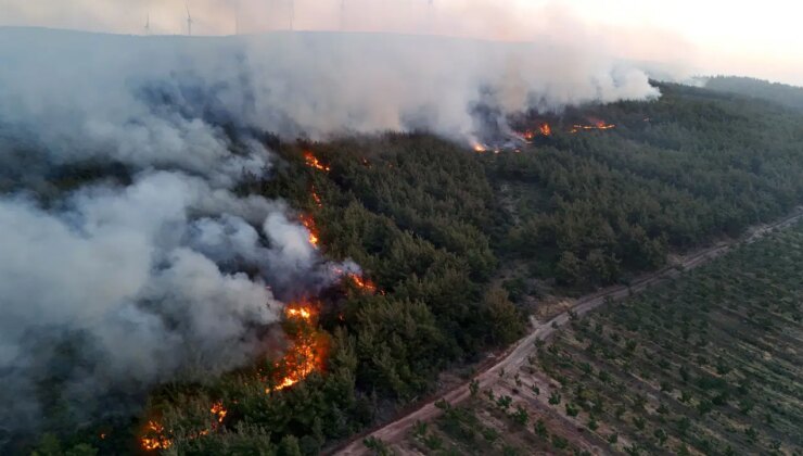 Şarköy’de başladı, yerleşim yerlerine ilerliyor! Tekirdağ ve Çanakkale’deki orman yangınlarında son durum…