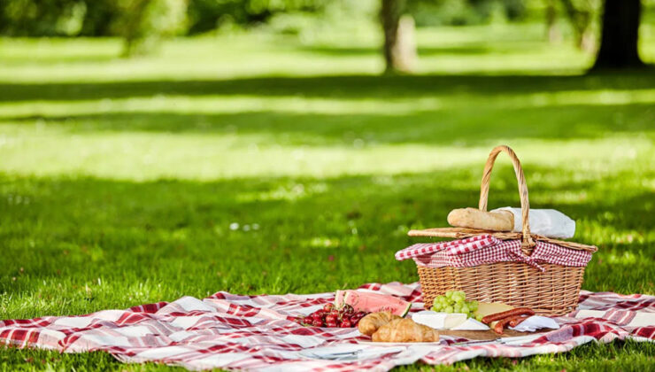 Şehrin içinde doğaya kaçış: İstanbul piknik rehberi