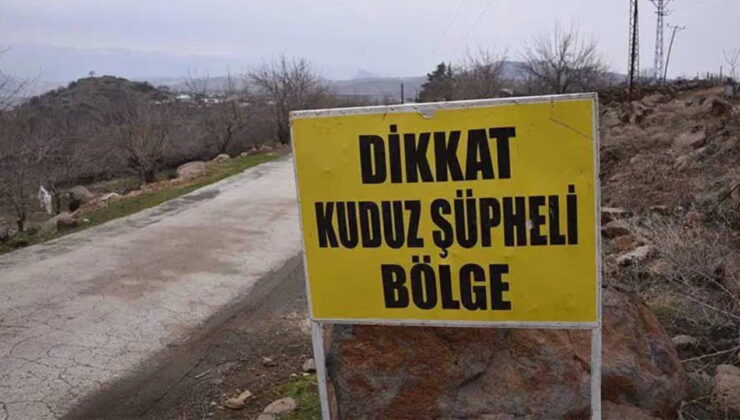 Siirt’te kuduz şüphesi: Hayvan hareketlerine kısıtlama!