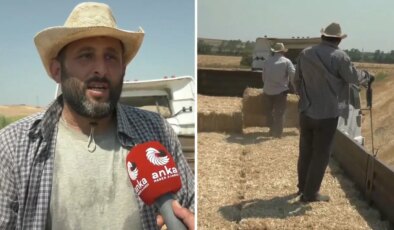 Silivri’de 39 derece sıcaklıkta saman toplayan işçiler: ‘Devletimize oy verdik, pişmanız’