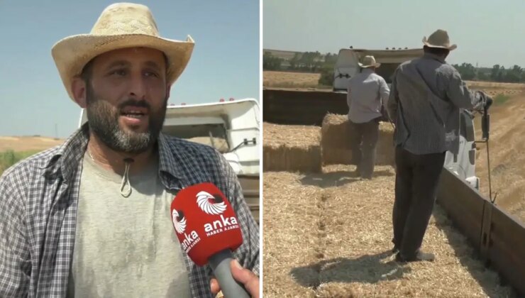 Silivri’de 39 derece sıcaklıkta saman toplayan işçiler: ‘Devletimize oy verdik, pişmanız’