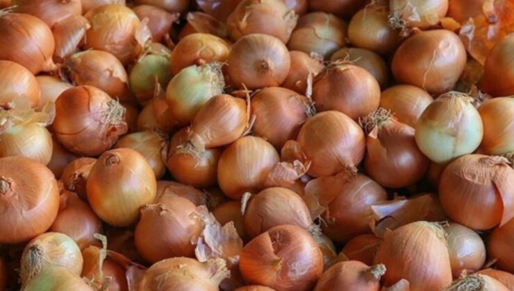 Soğanlarda bakteri alarmı! Tüm marketlerden toplatılıyor