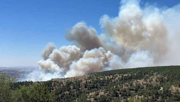 Son dakika… Ankara’da korkutan yangın: ODTÜ ormanı çevresinde dumanlar yükseldi!