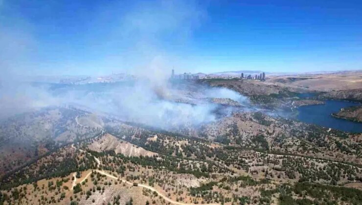 Son dakika… Ankara’da ODTÜ ormanı yakınında korkutan yangın: Kontrol altına alındı!