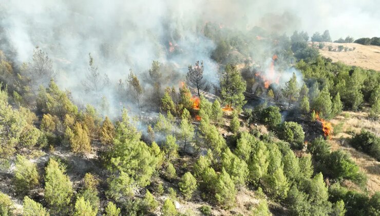 Son Dakika… Bakan Yumaklı son durumu açıkladı: 6 yangın devam ediyor