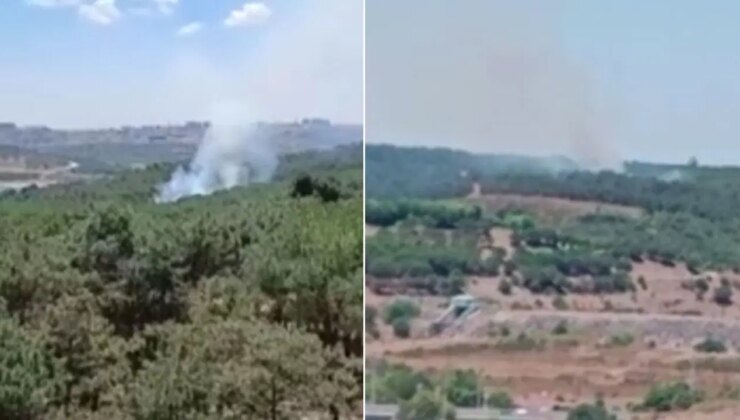 Son Dakika… İstanbul Sultangazi’de orman yangını!