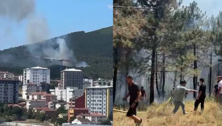 Son dakika… İstanbul’da orman yangını: Yerleşim yerlerinin yakınında çıktı!