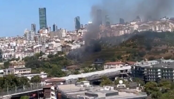 Son Dakika… Kağıthane’de ağaçlık alanda yangın