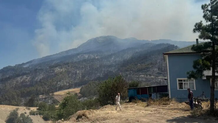 Son dakika… Sakarya’daki yangın Bilecik’e sıçradı!