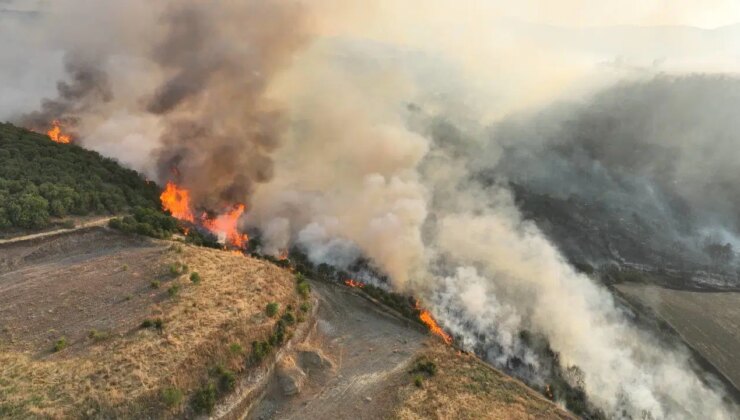 Son dakika… Yurdun dört bir yanında yangınlar sürüyor: Bakan Murat Kurum, acı bilançoyu açıkladı!