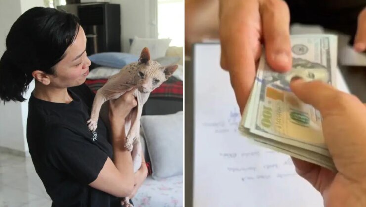 Sözünü tuttu: Kaybolan kedisi ‘Odin’i bulana 2 bin dolar ödül verdi