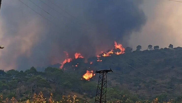Suriye’de yangın alarmı: AB’den destek talep etti