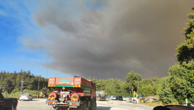 Suriye’den Hatay’a sıçrayan yangın kontrol altına alındı