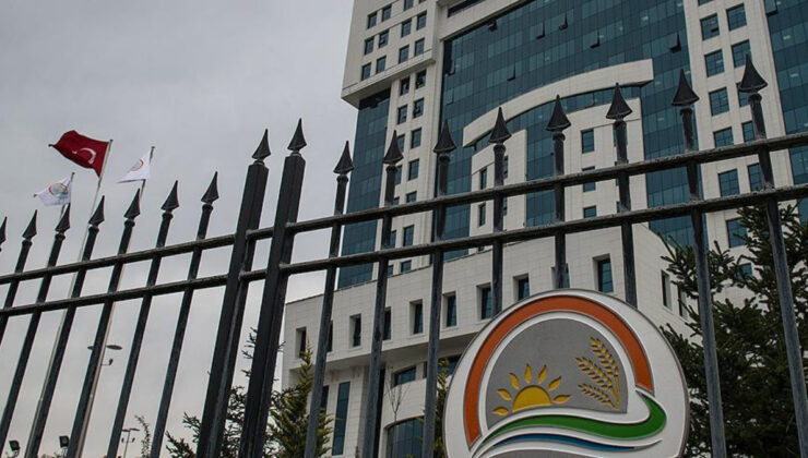 Tarım Bakanlığı: Türkiye, yapay et üretimini desteklemiyor