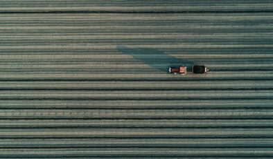 Tarımsal amaçlı örgütlerin derecelendirilmesine ilişkin esaslar düzenlendi