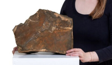 Taş deyip geçmeyin! Bu taş tamı tamına 160 milyon ediyor