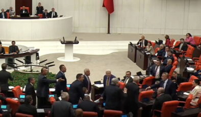 TBMM’de ‘ayı’ tartışması: ‘Sensin ayı, geri zekalı, ahlaksız herif!’