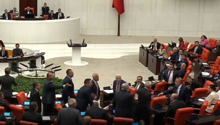TBMM’de ‘ayı’ tartışması: ‘Sensin ayı, geri zekalı, ahlaksız herif!’