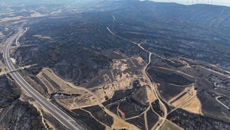 Tekirdağ’dan Çanakkale’ye sıçramıştı: Yangında 85 hektar orman zarar gördü!