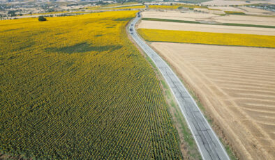 Tekirdağ’ın ayçiçeği tarlaları, yolcuları kendine çekiyor
