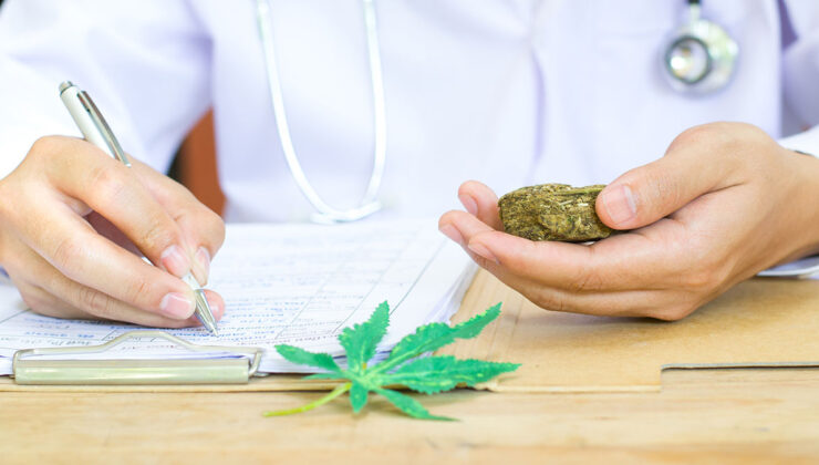 Tıbbı kenevir ne işe yarar, reçeteli mi? Tıbbı kenevirin faydaları