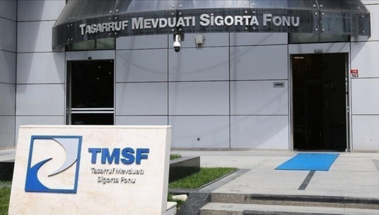 TMSF, İstikbal Mobilya ve Akfel Gaz Grubu’nu satışa çıkardı