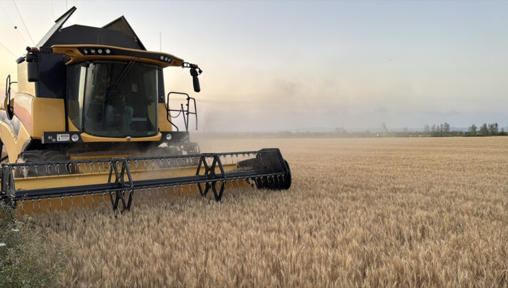 Trakya’da buğday hasadında sona yaklaşıldı