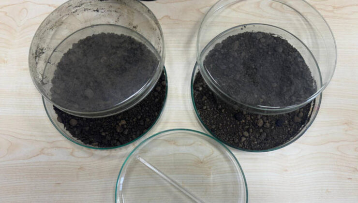 Türk akademisyenlerden ‘toprağı temizleyen bakteri’ projesi