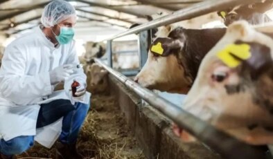 Türk Veteriner Hekimleri Birliği Başkanı Eroğlu: ‘Şap hastalığı süt verimini yüzde 70, et verimini ise yüzde 40 düşürüyor’