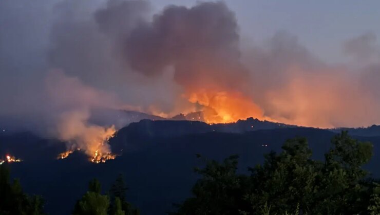 Türkiye alev alev: Sakarya, Bilecik, Karabük ve İzmir’de yangınlarla mücadele sürüyor