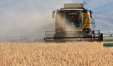Türkiye, tarımsal hasılada rekor kırdı