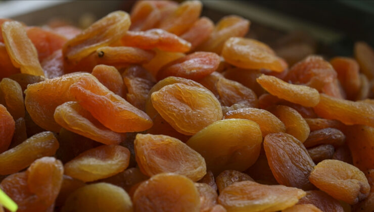 Türkiye’den 6 ayda 151 milyon dolarlık kuru kayısı ihraç edildi