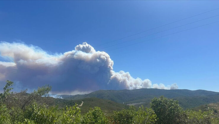 Türkiye’den görülüyor! Suriye’nin Lazkiye kentinde orman yangını